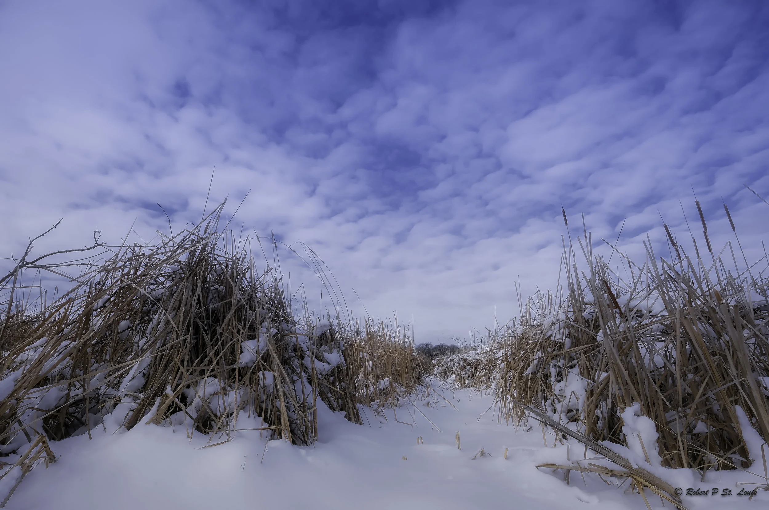 Spring Snow - Minnesota