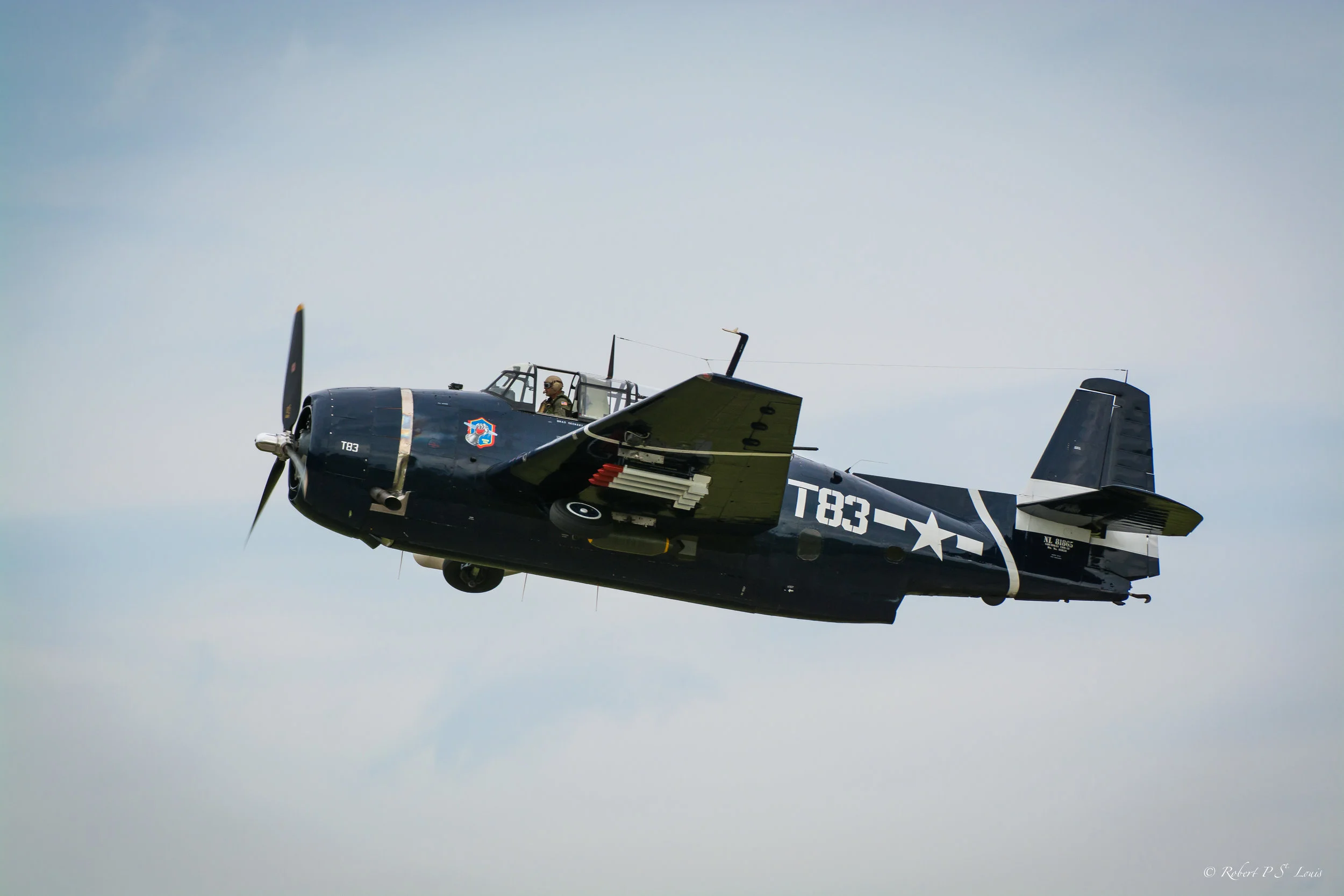 D71_1551-2.jpg