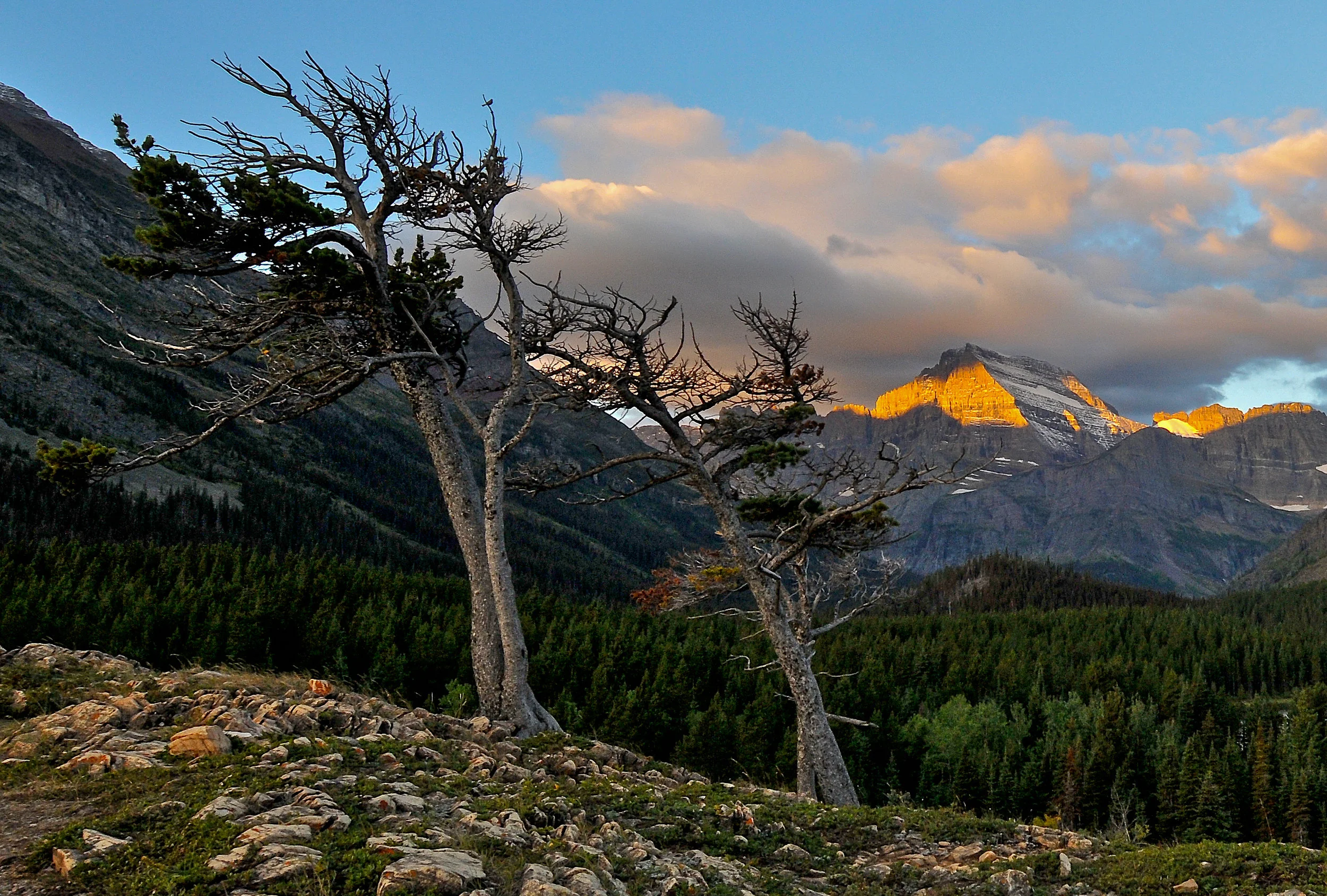 Dawn - Glacier NP