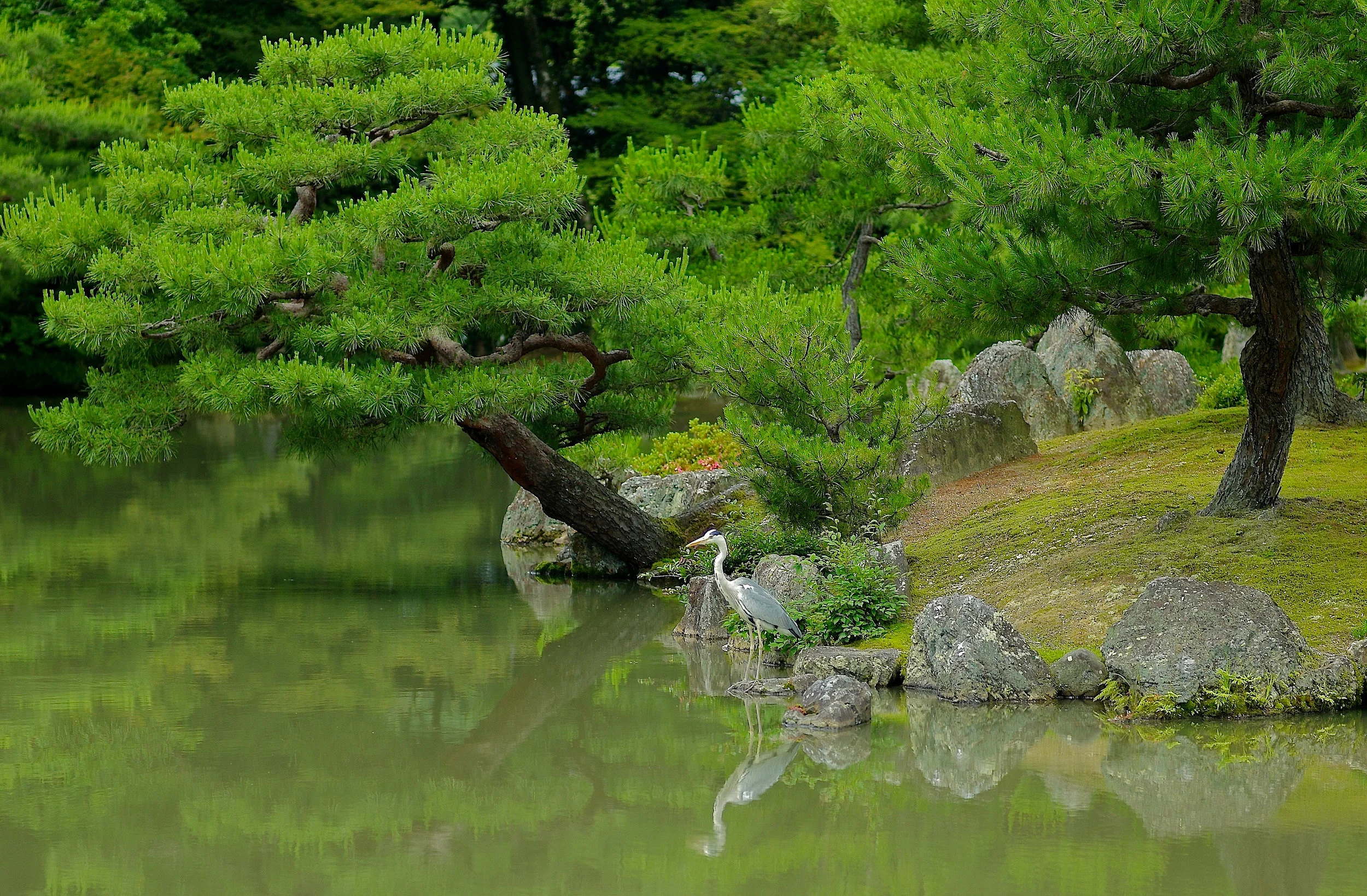 L1001382.jpg