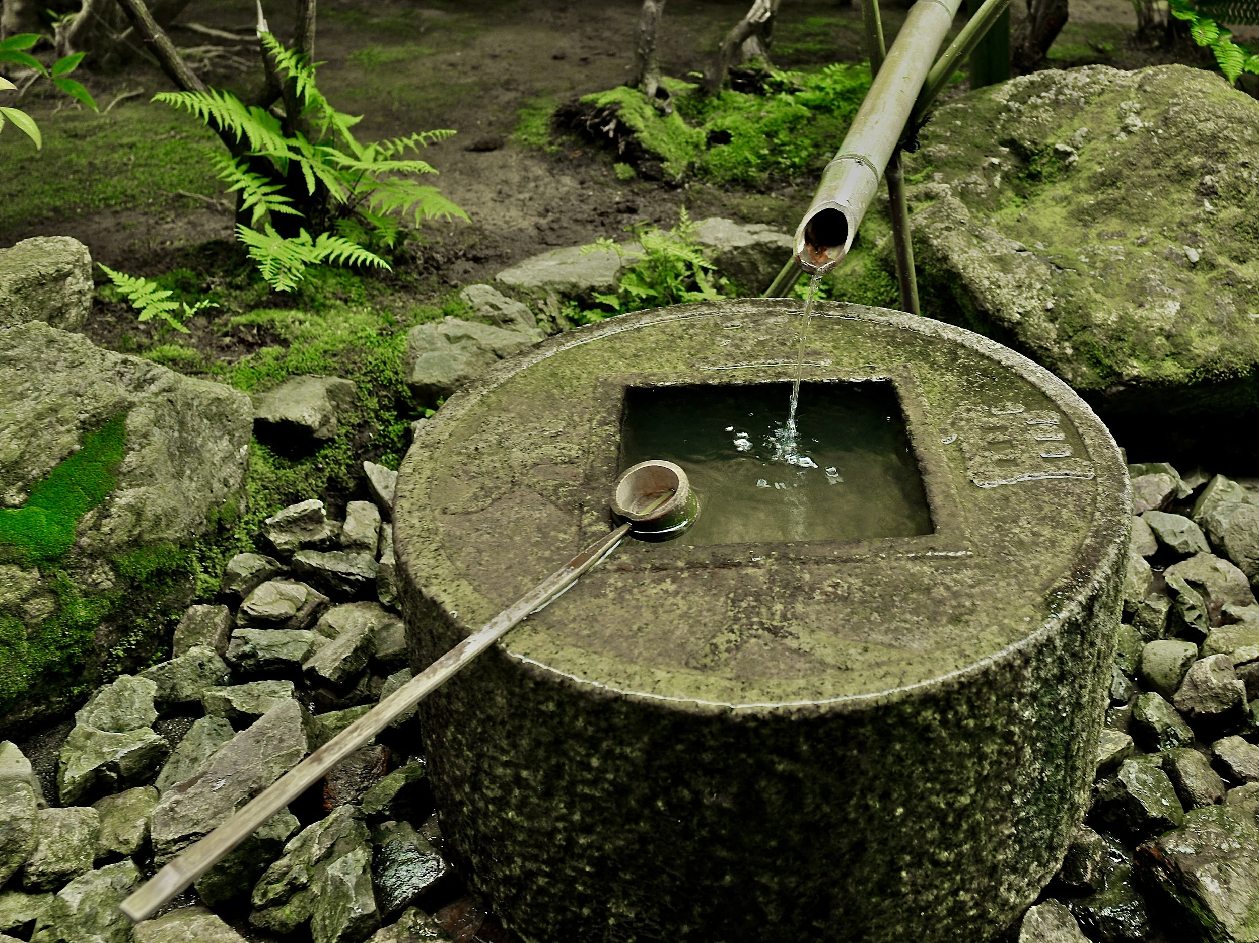 L1001459 - Version 2 (1).jpg