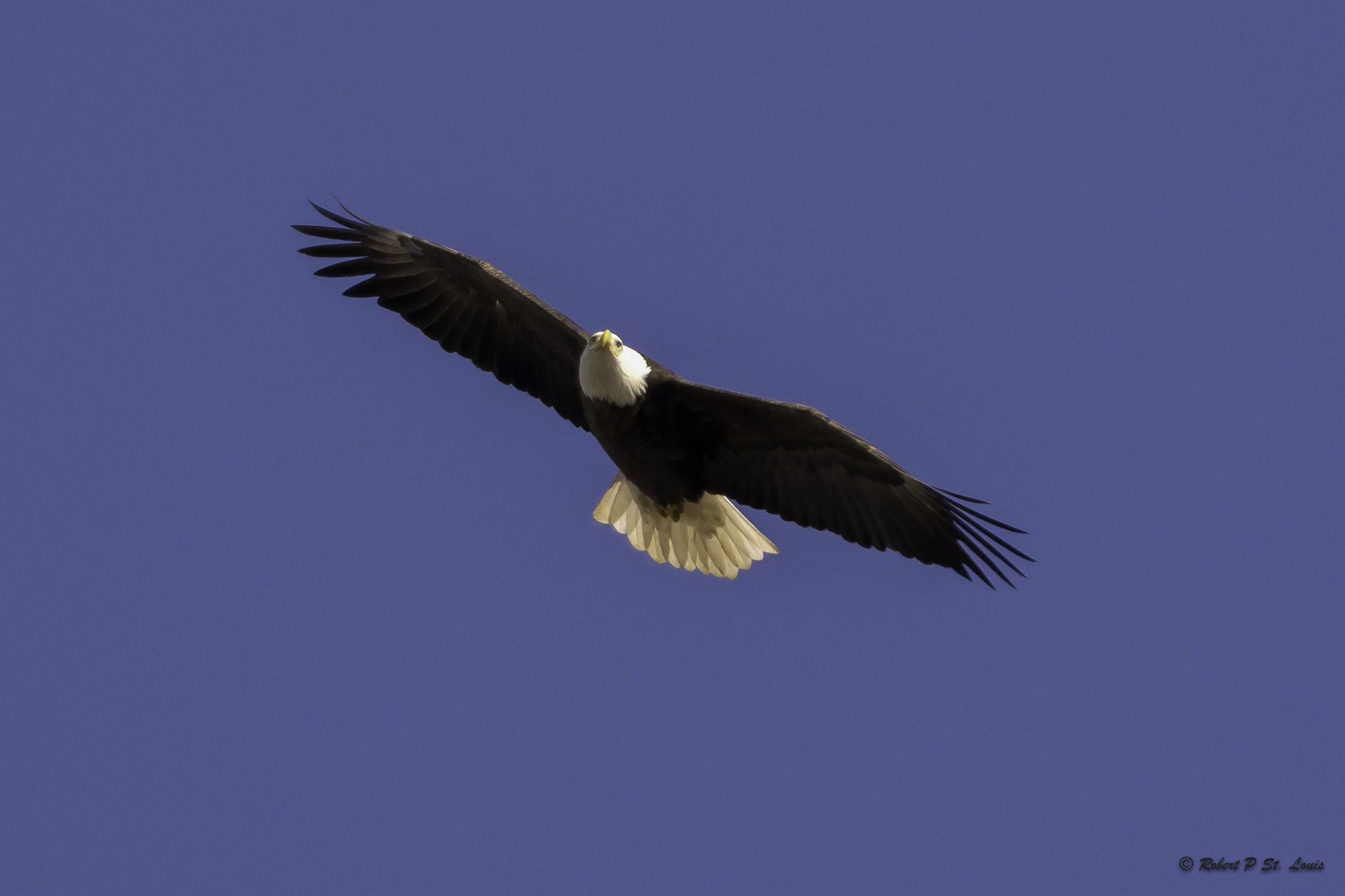 D71_5326-Edit.jpg