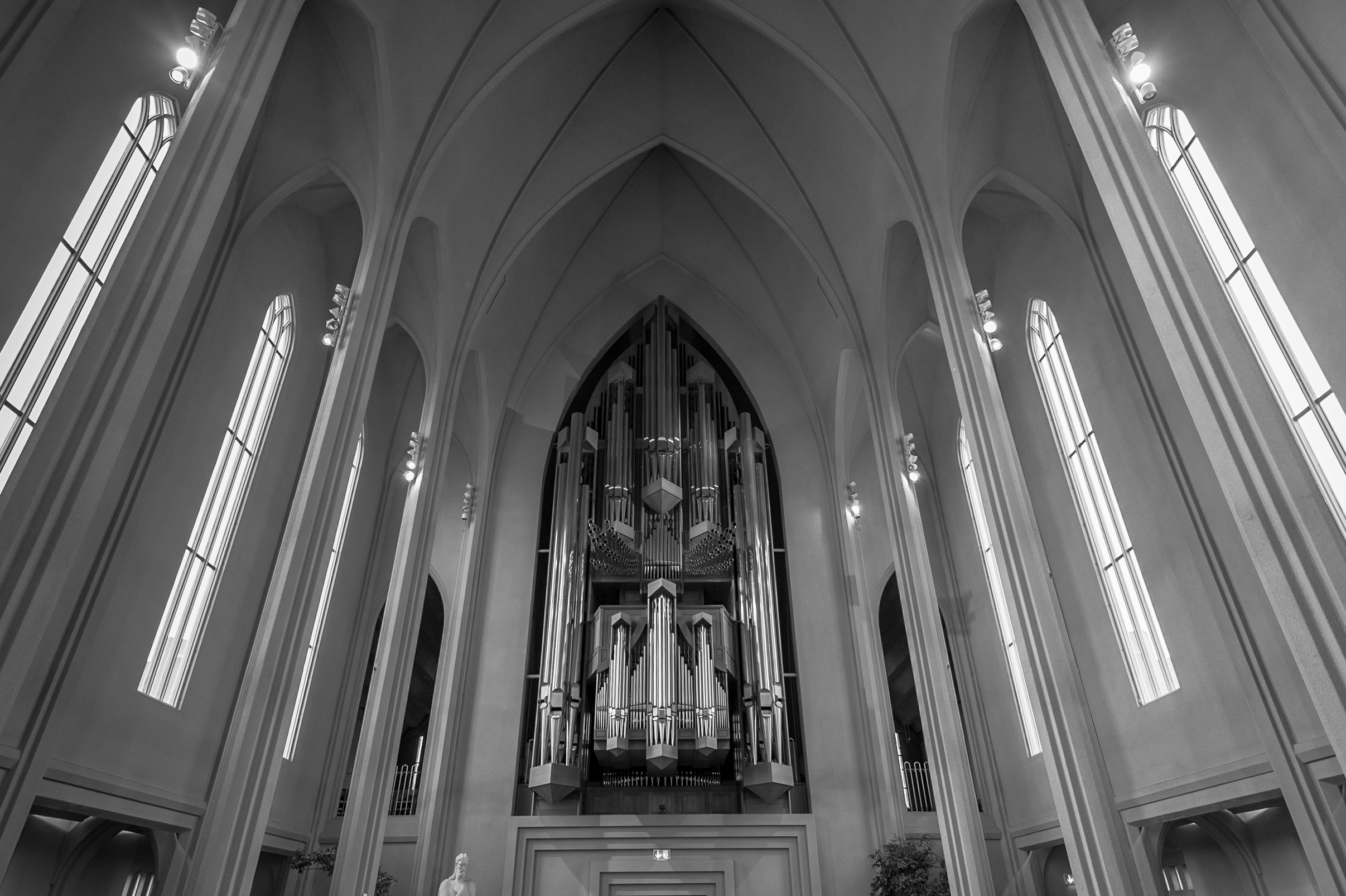 DFD_1056 2.jpg