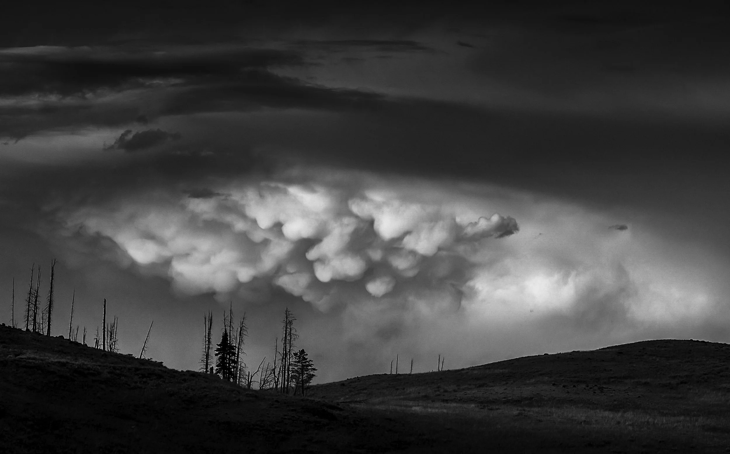 L1000901 - Version 5-Edit-3-3.jpg