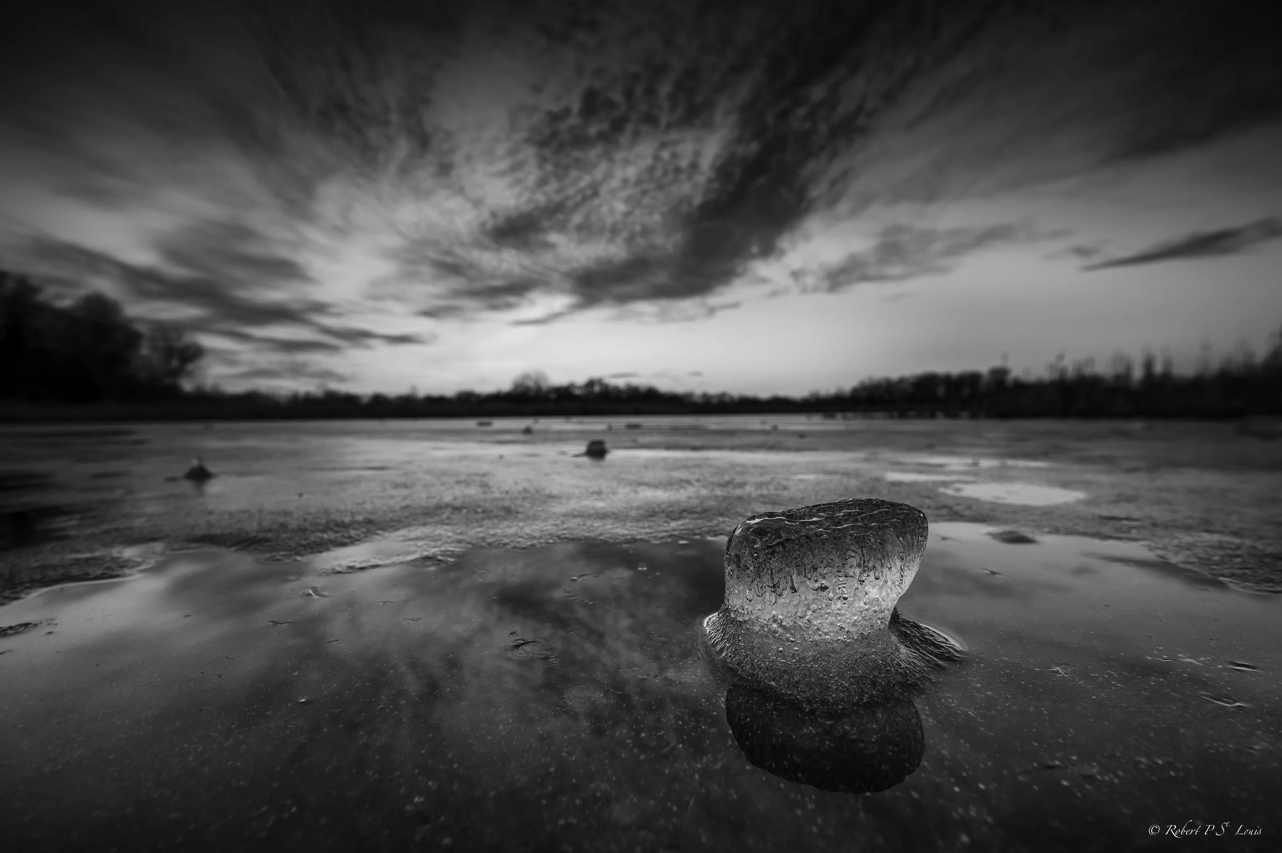 Winter to Spring BW.jpg
