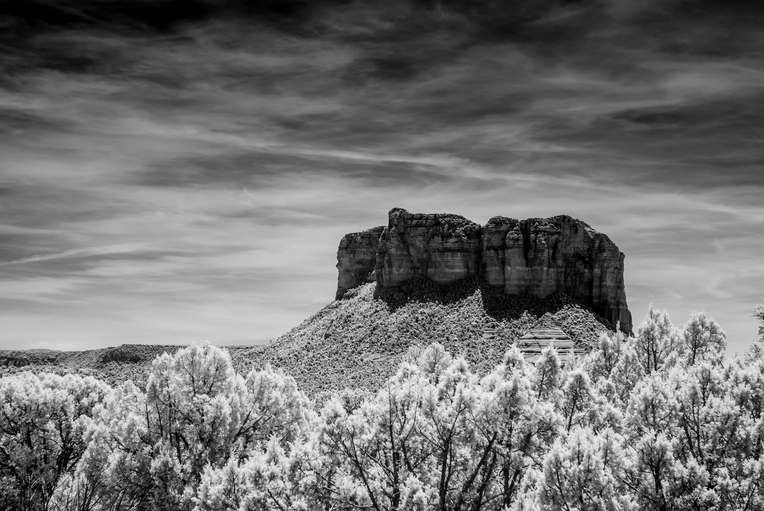 DSC_2208-Edit-2.jpg