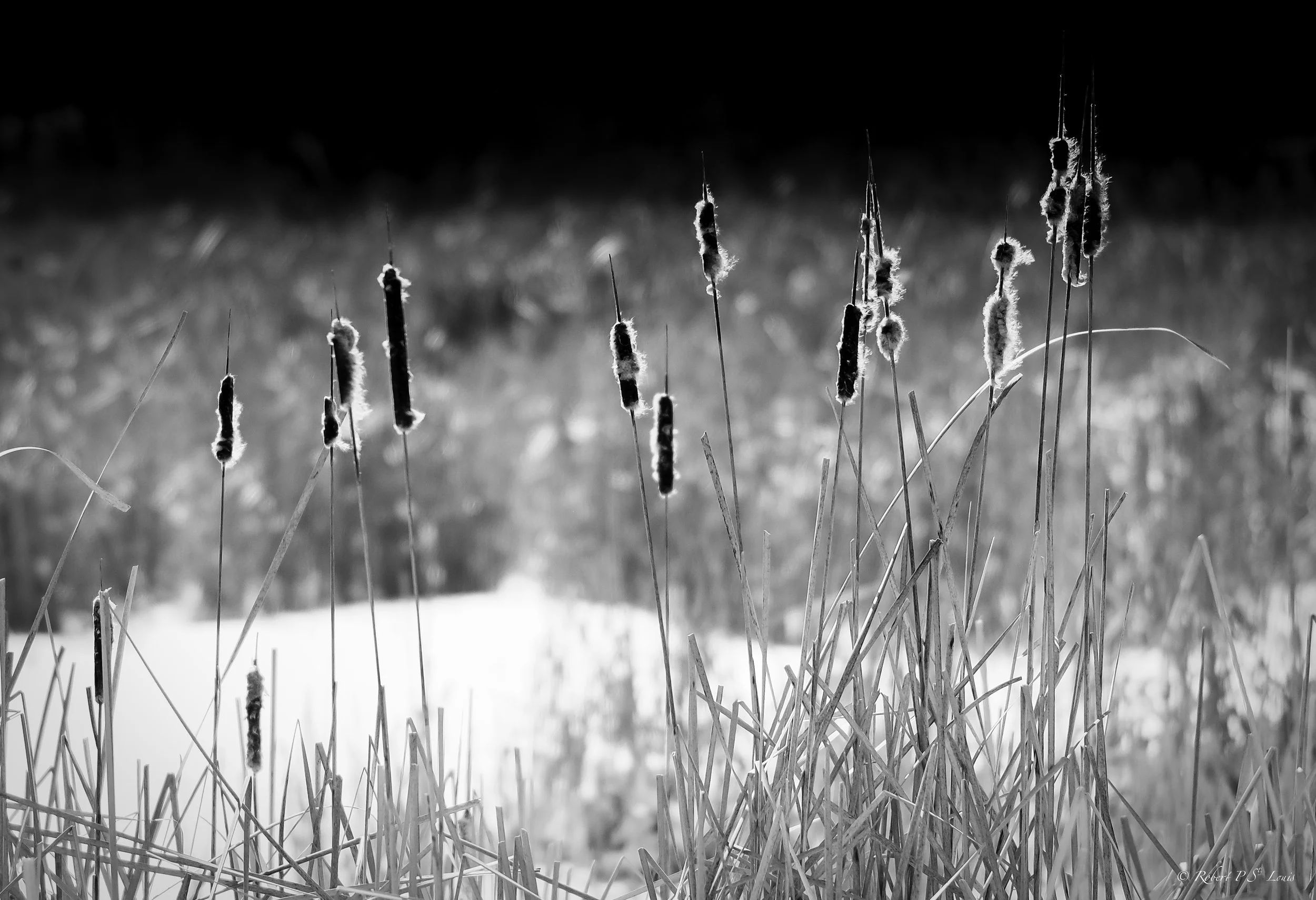 DXH10534-Edit-2.jpg