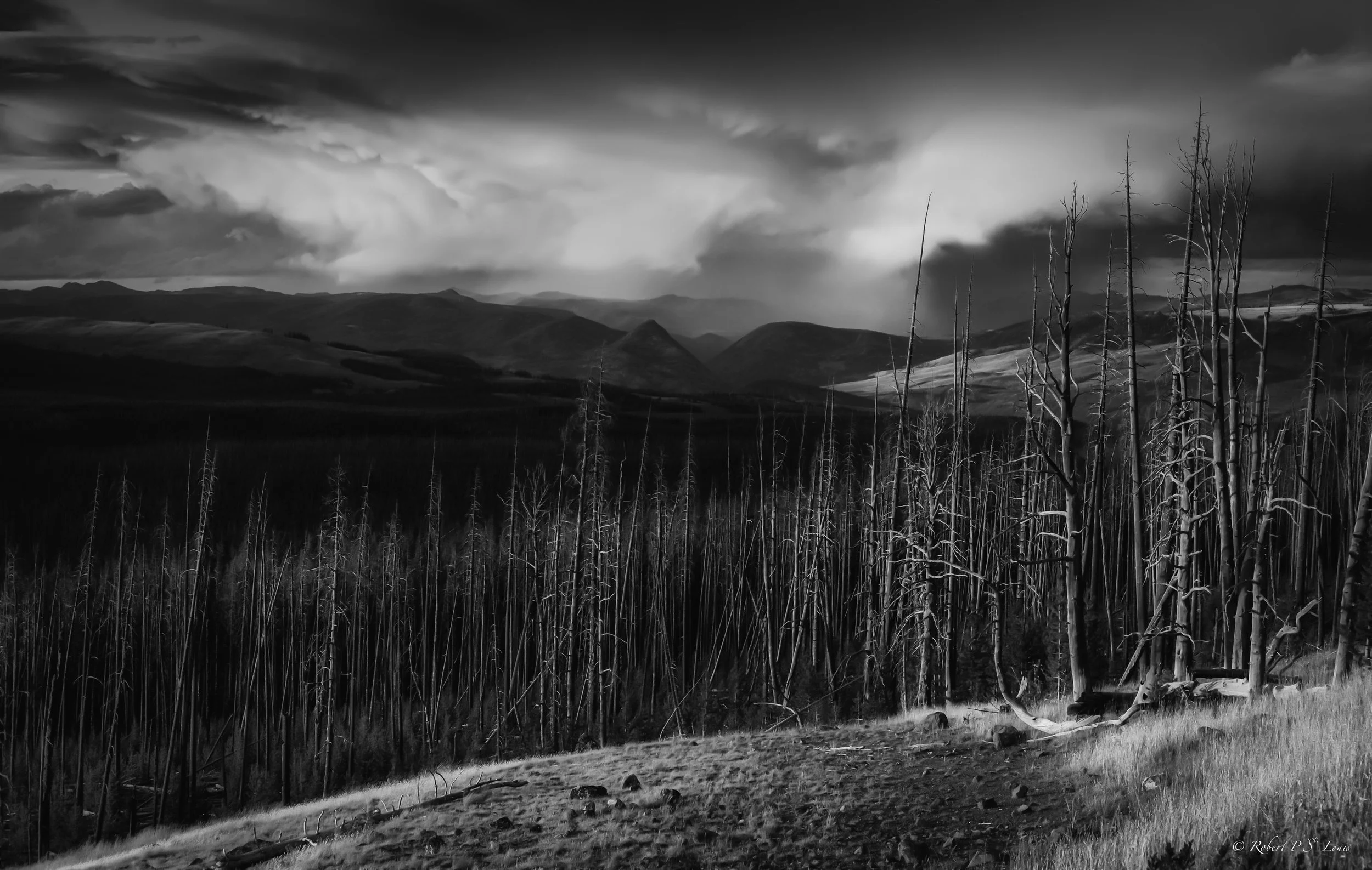 Yellowstone Storm B&W-.jpg