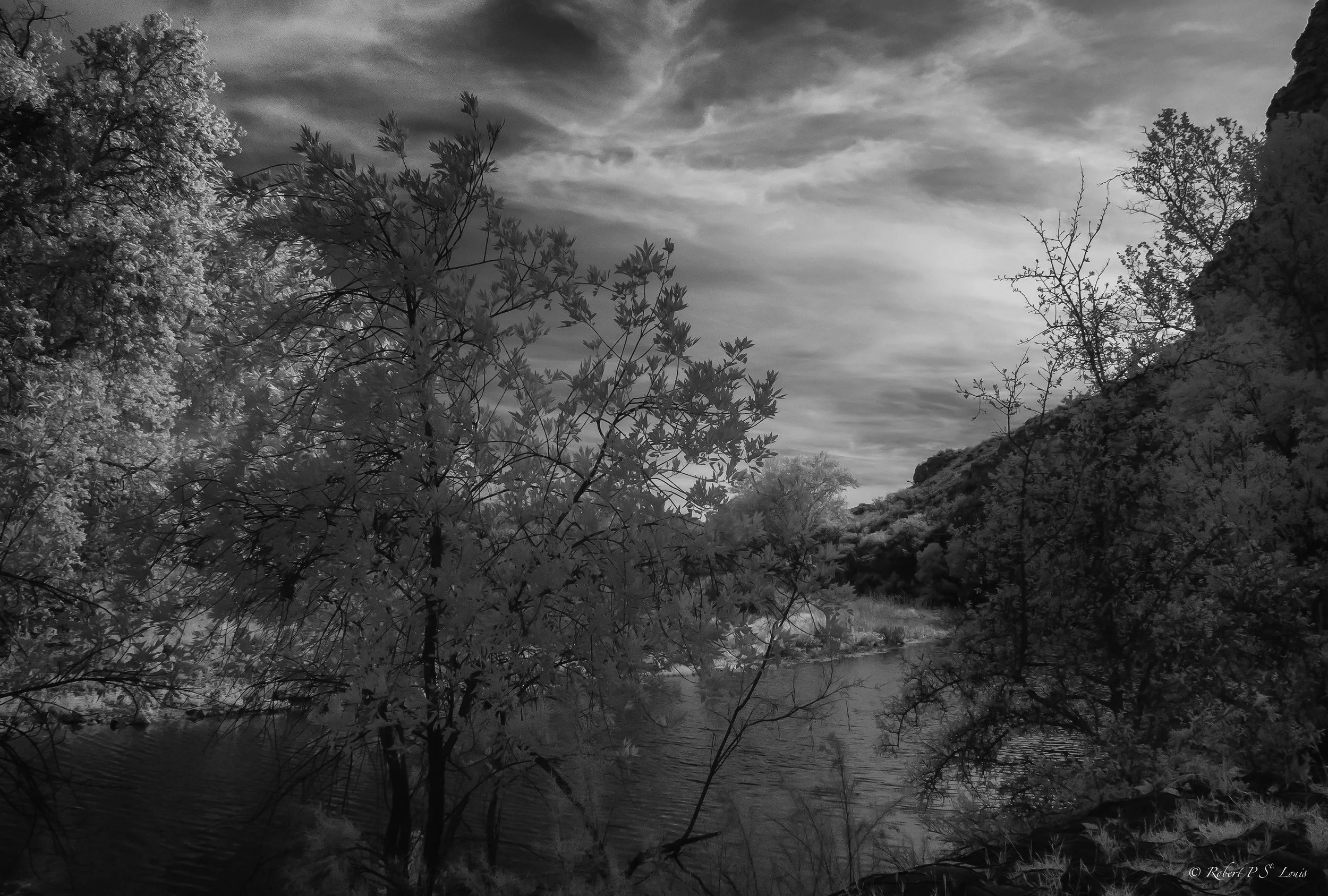 DSC_2253-Edit.jpg