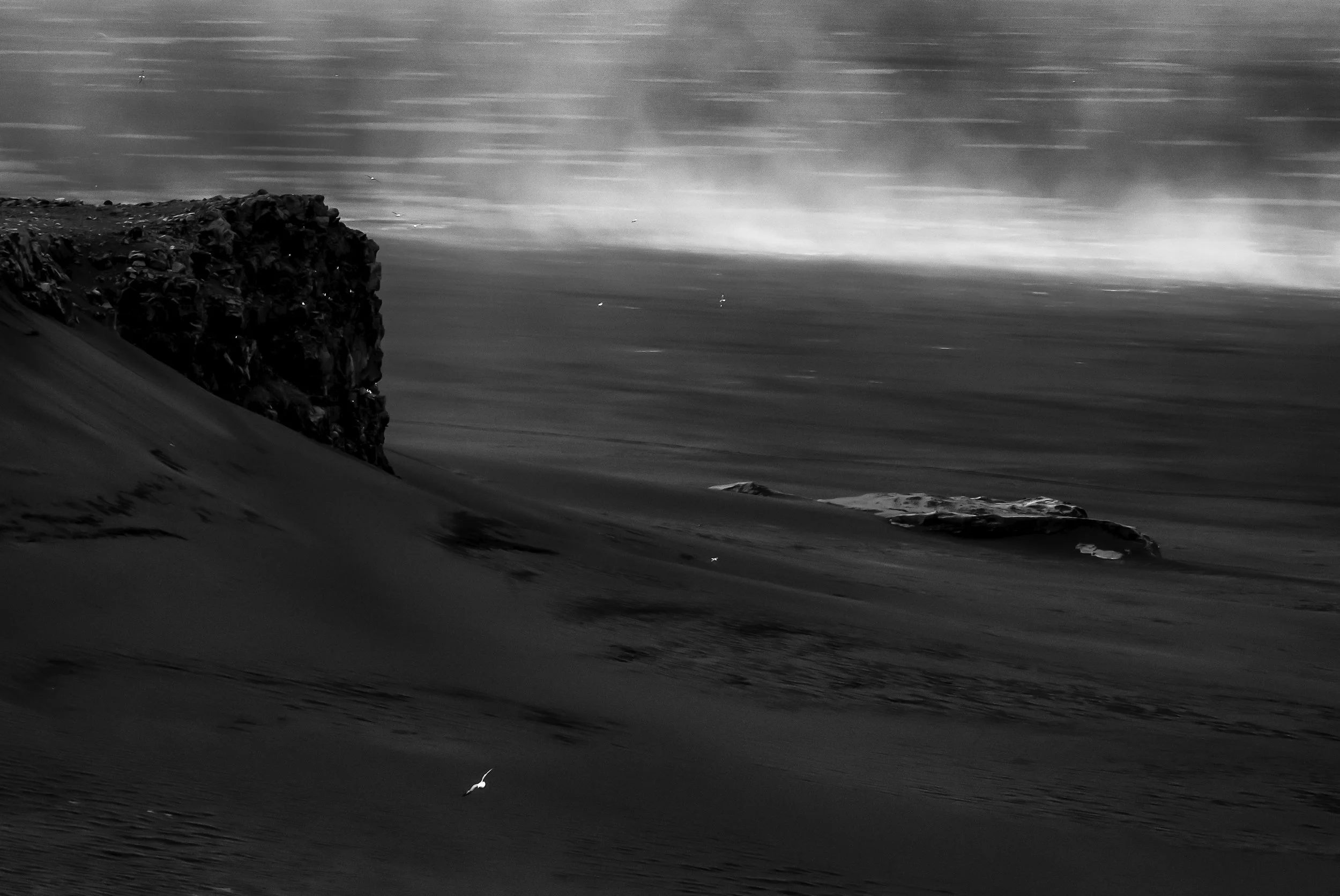 Dune-Edit.jpg