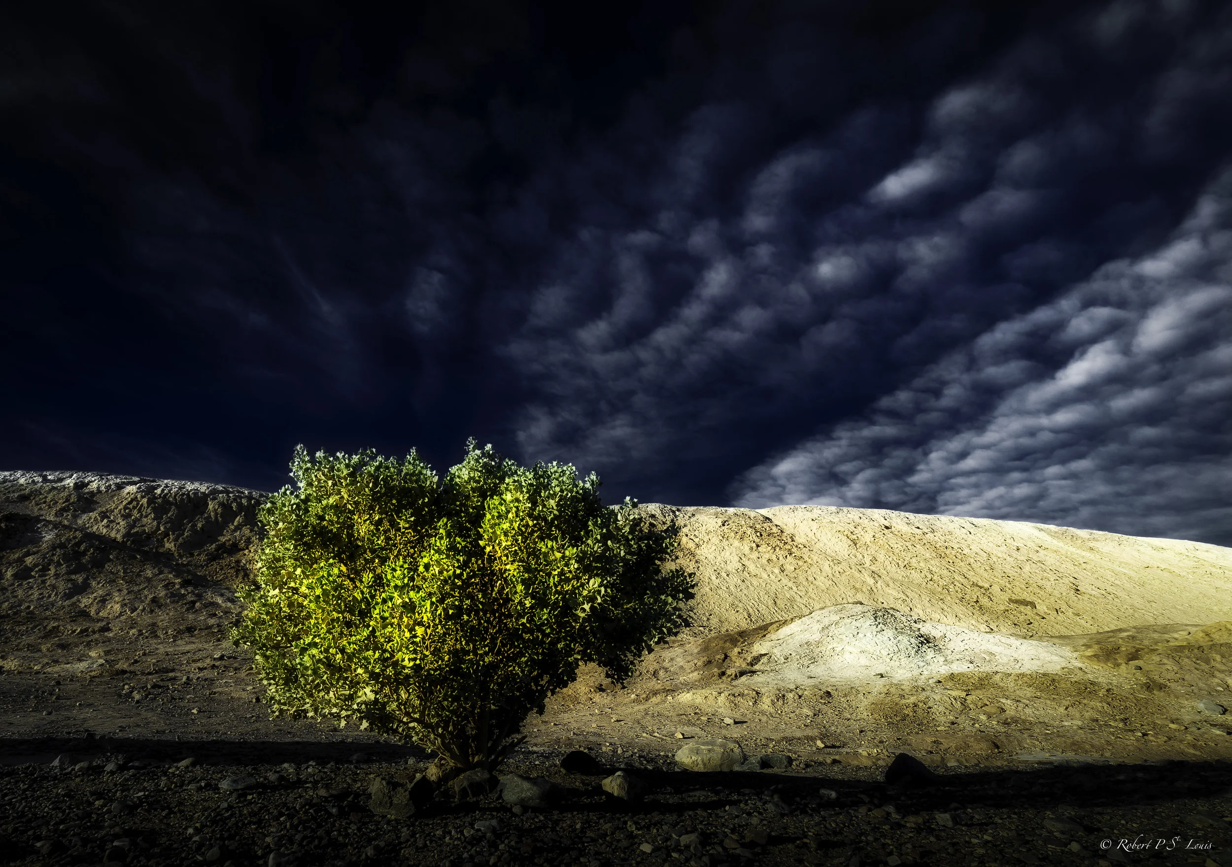 WM DFD_0308-Edit_HDR_edit-1-2.jpg