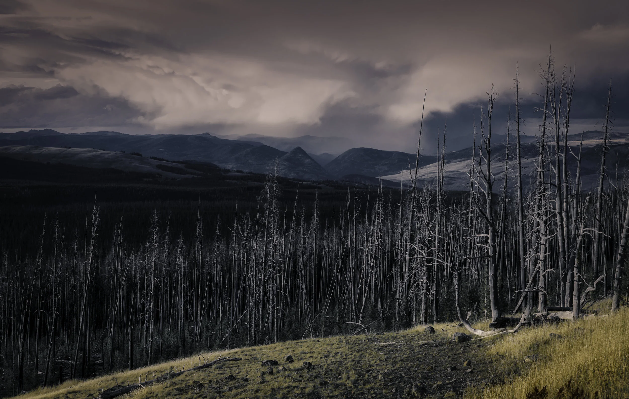 Yellowstone Storm-1.jpg
