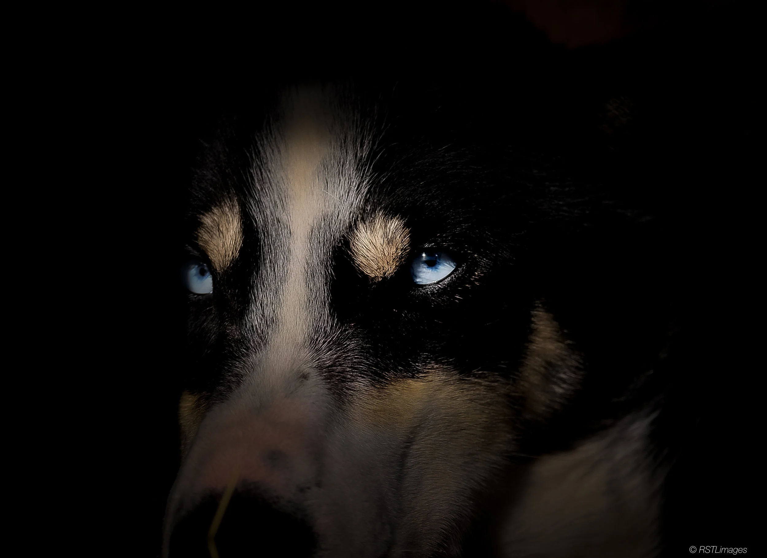 WM Game Face FXT30470.jpg