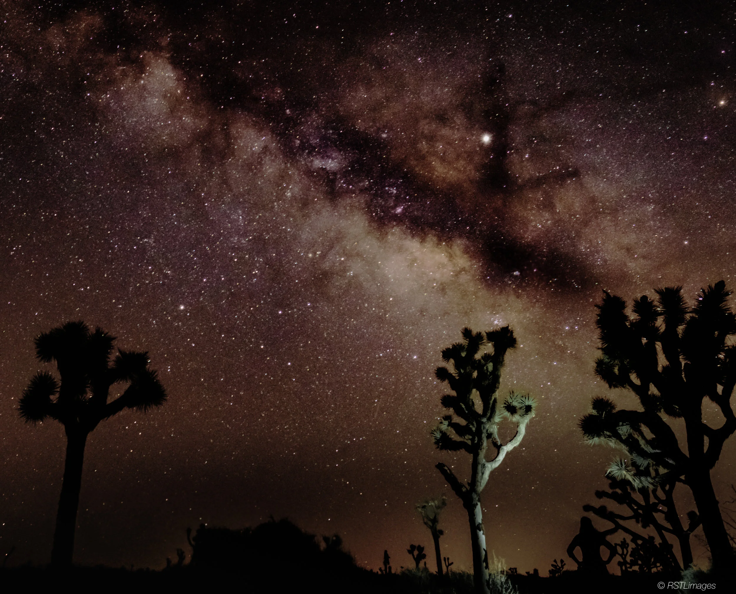 Joshua Tree Galaxy with Monique-2.jpg