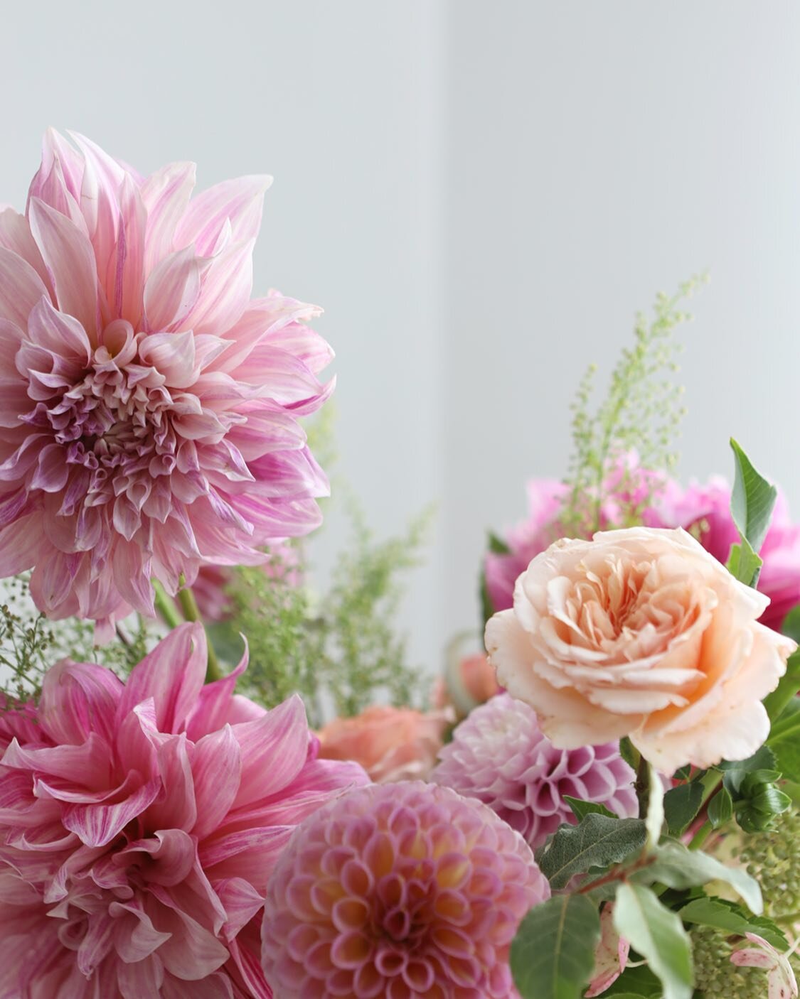 🌸🍑🍉🍓🤍

.
.
.

#localbloomals #localflowers #ontarioflowers #slowflowers #momentsofmine #livethelittlethings #thatsdarling #weddingbouquet #bouquetdujour #flowersofinstagram #torontowedding #torontoflorist #토론토꽃 #엘리세라디자인 #aliseradesign