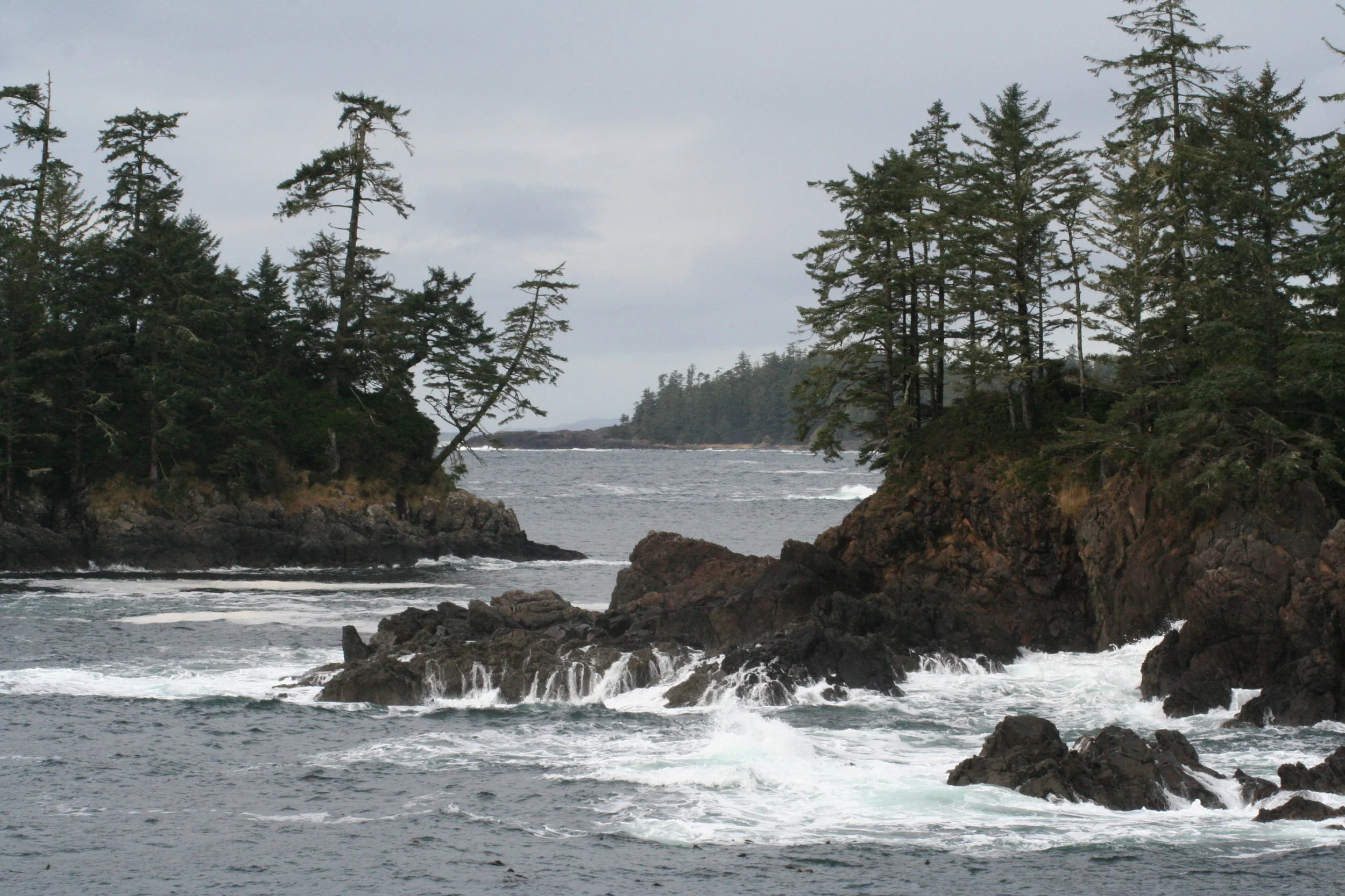 IMG_1390.JPG