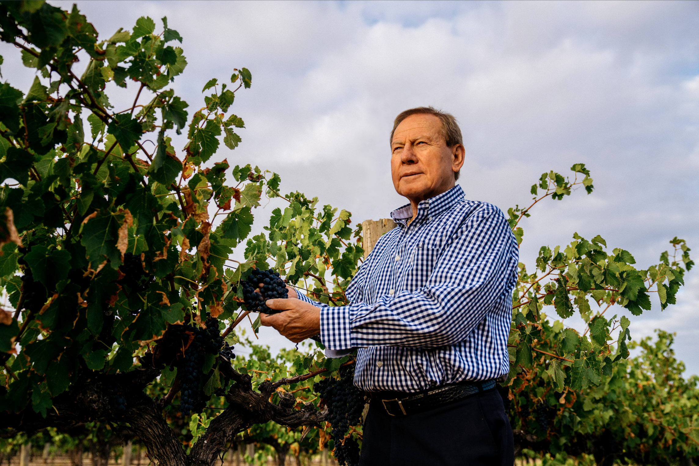 Screen Shot 2019-03-17 at 5.35.16 pm.png