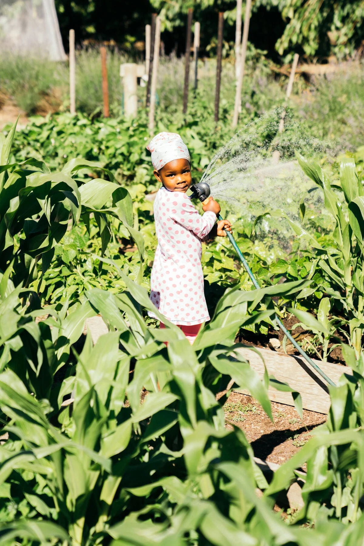 SUE_MCPHERSON_COMMUNITY_GARDEN-199.jpg