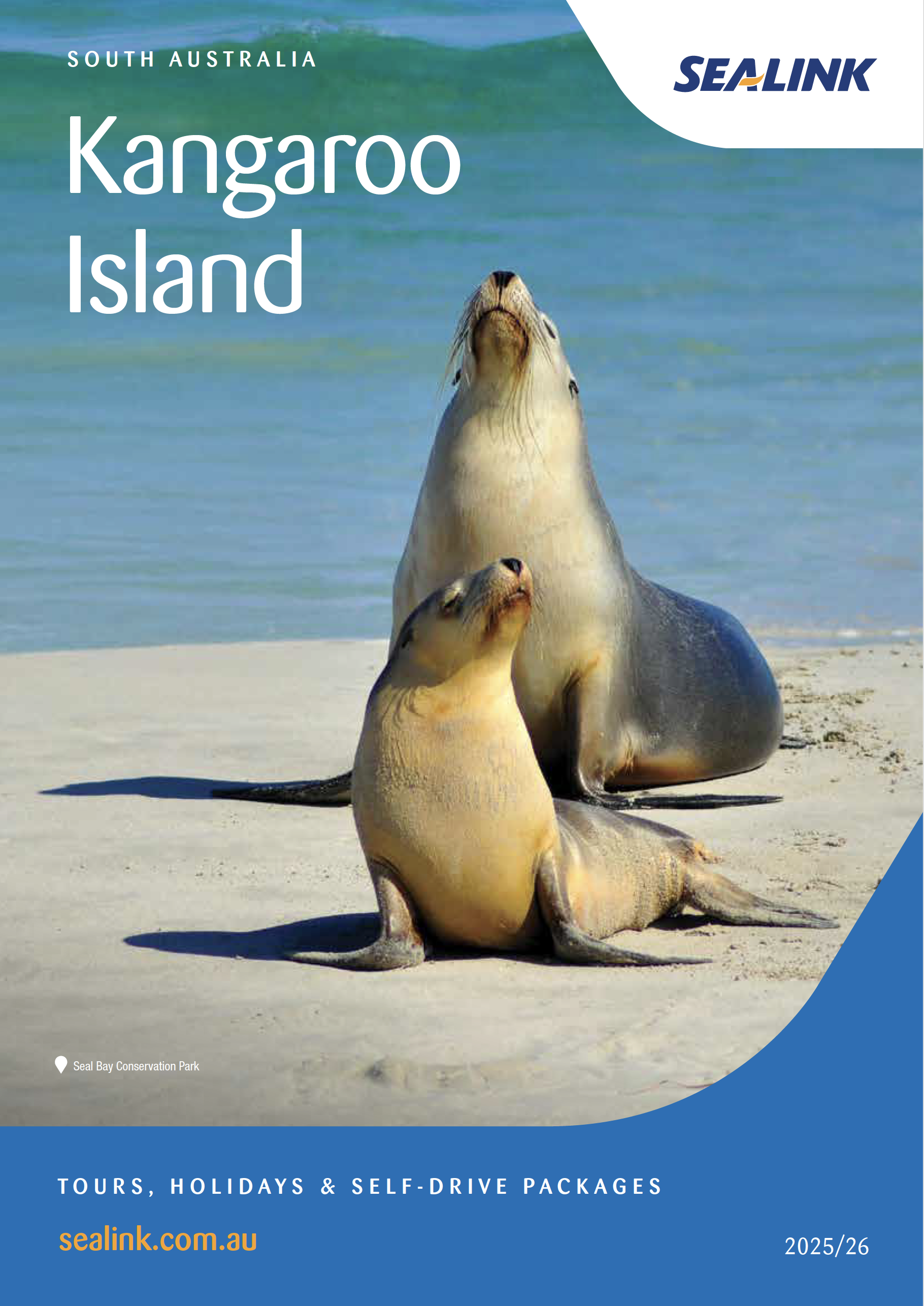 Screen Shot 2025-08-31 at 10.00.05 pm.png