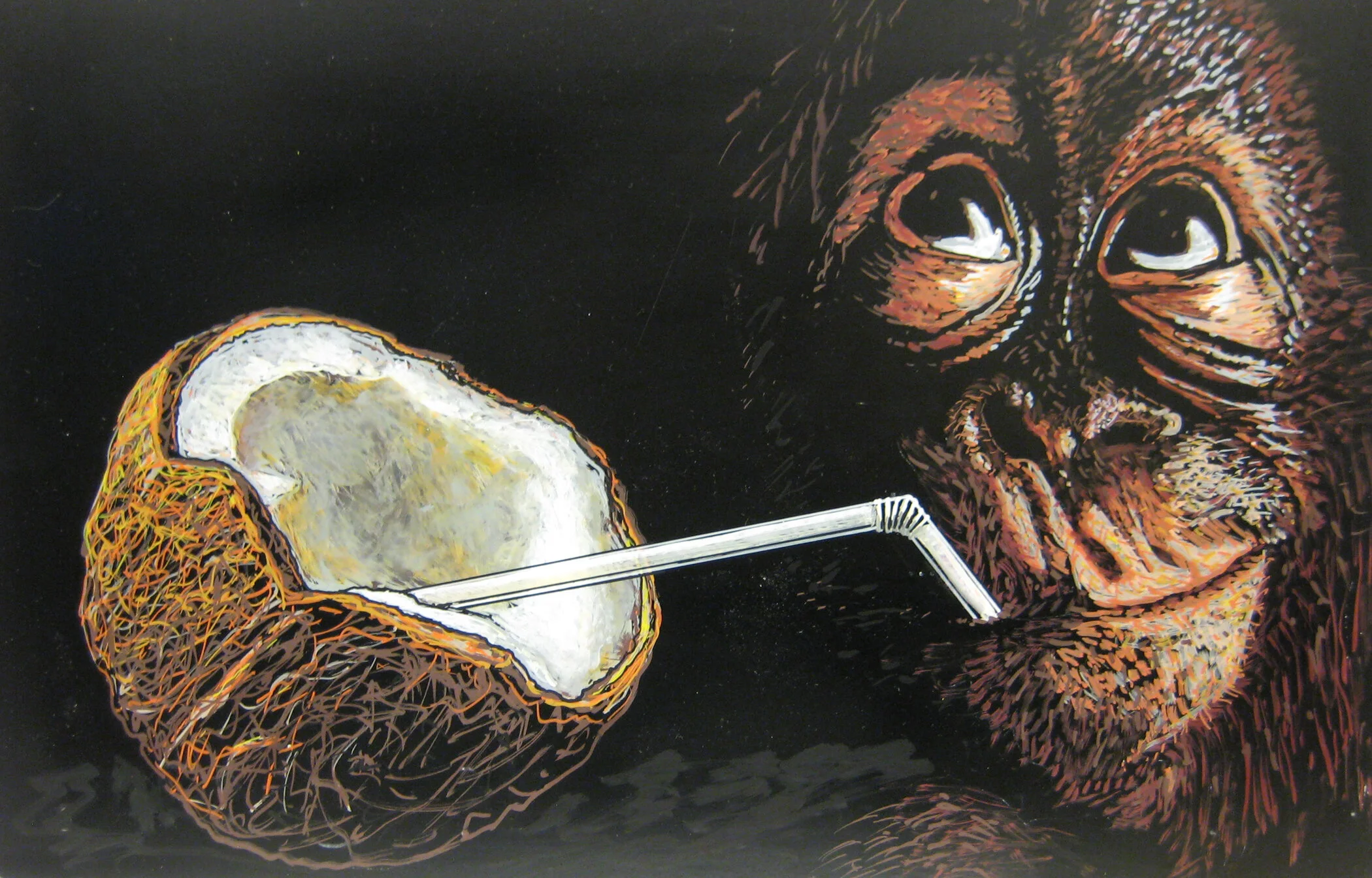 animal_monkey_coconut.JPG