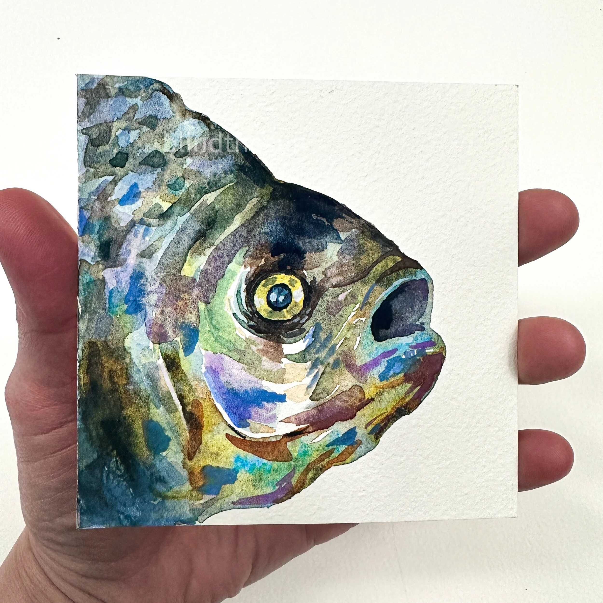 340DE7A5-4337-41E4-99F0-C2AFF16CFB01