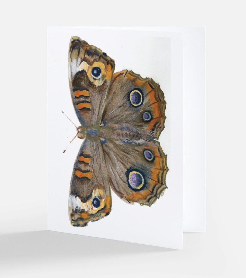 Screenshot 2025-12-13 at 3.56.11 PM.png