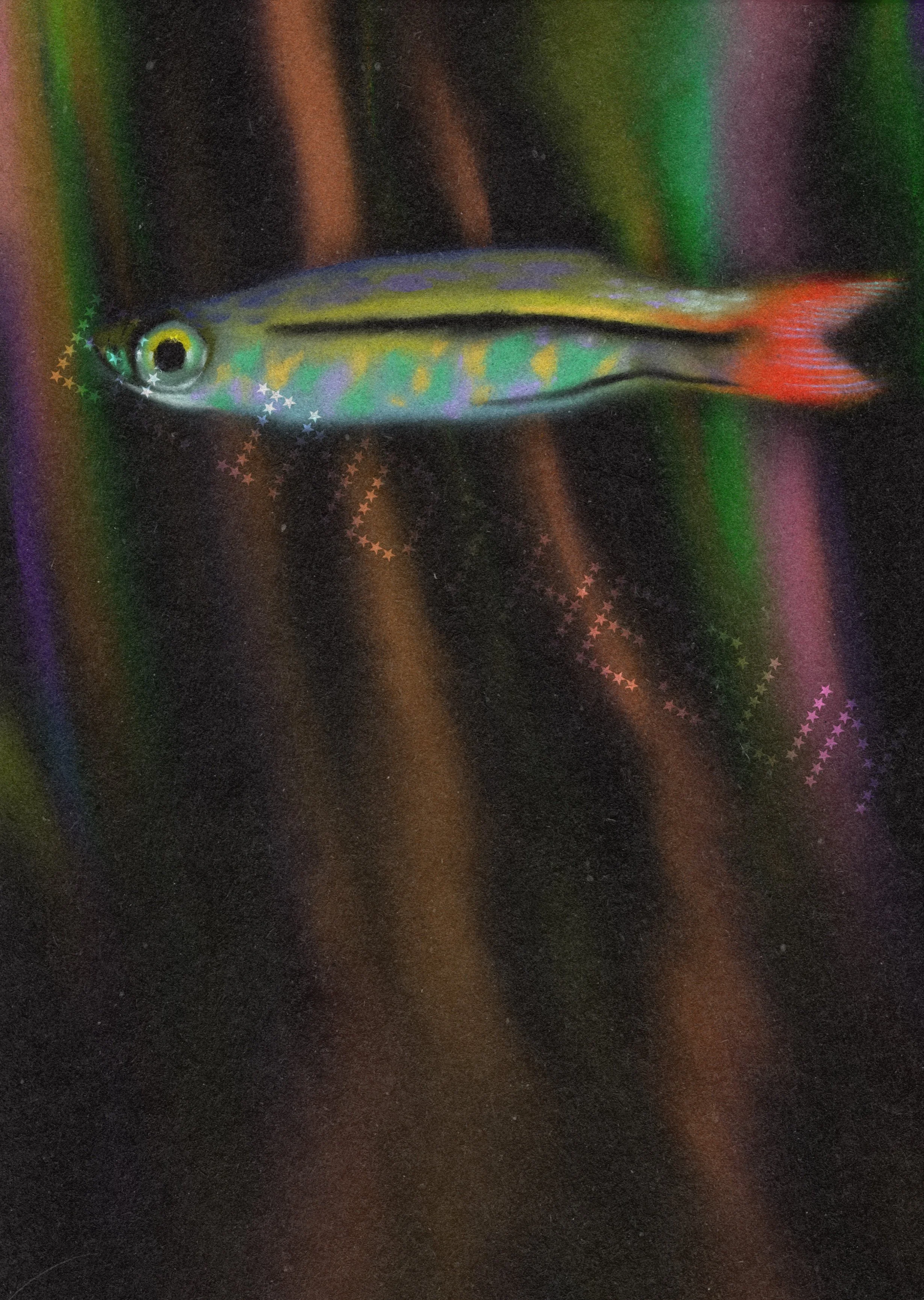 watermarkminnow.jpg