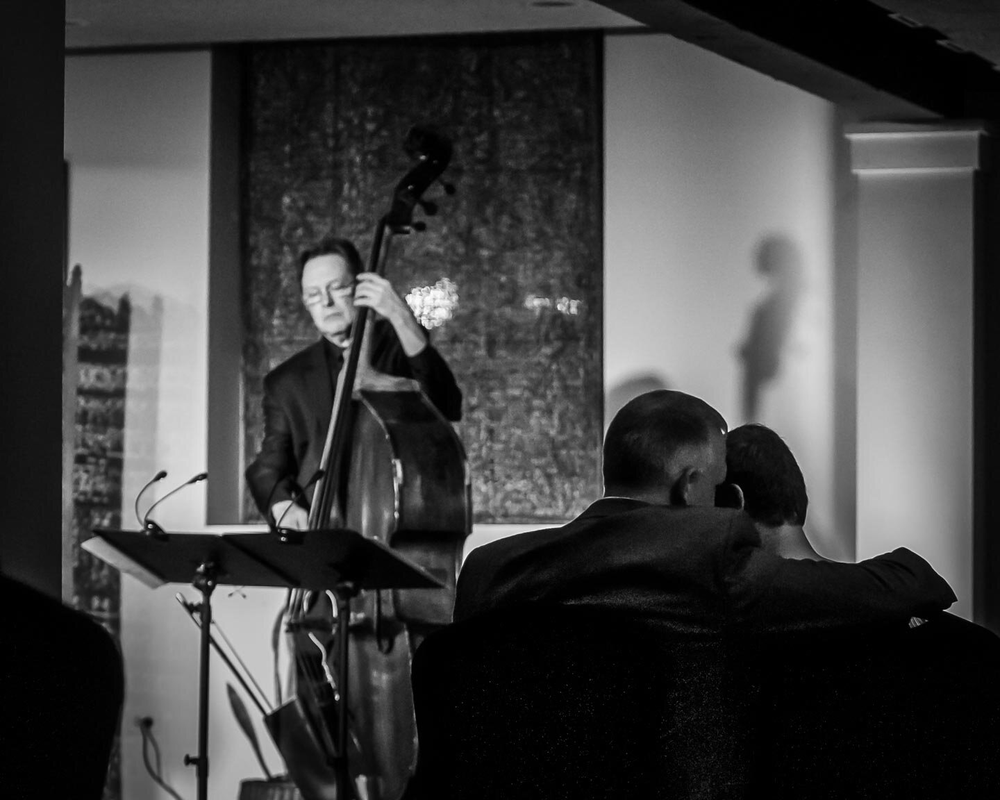 Stevie Swing Show at The Dole Mansion Crystal Lake IL Frank Sinatra