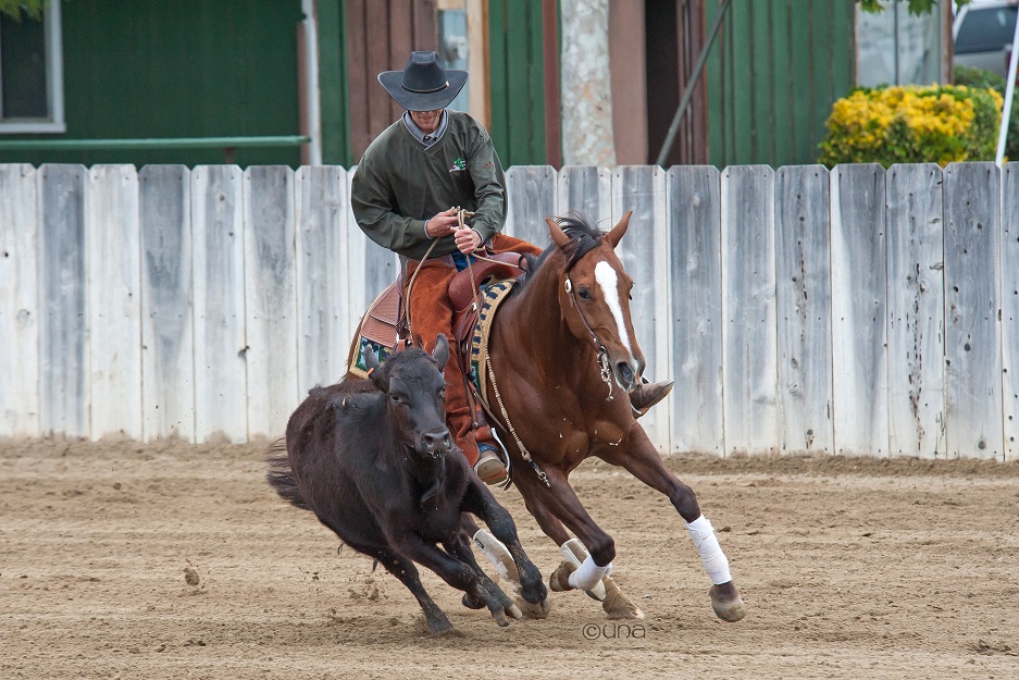 Aaron-with-one-rein-on-Felina.jpg