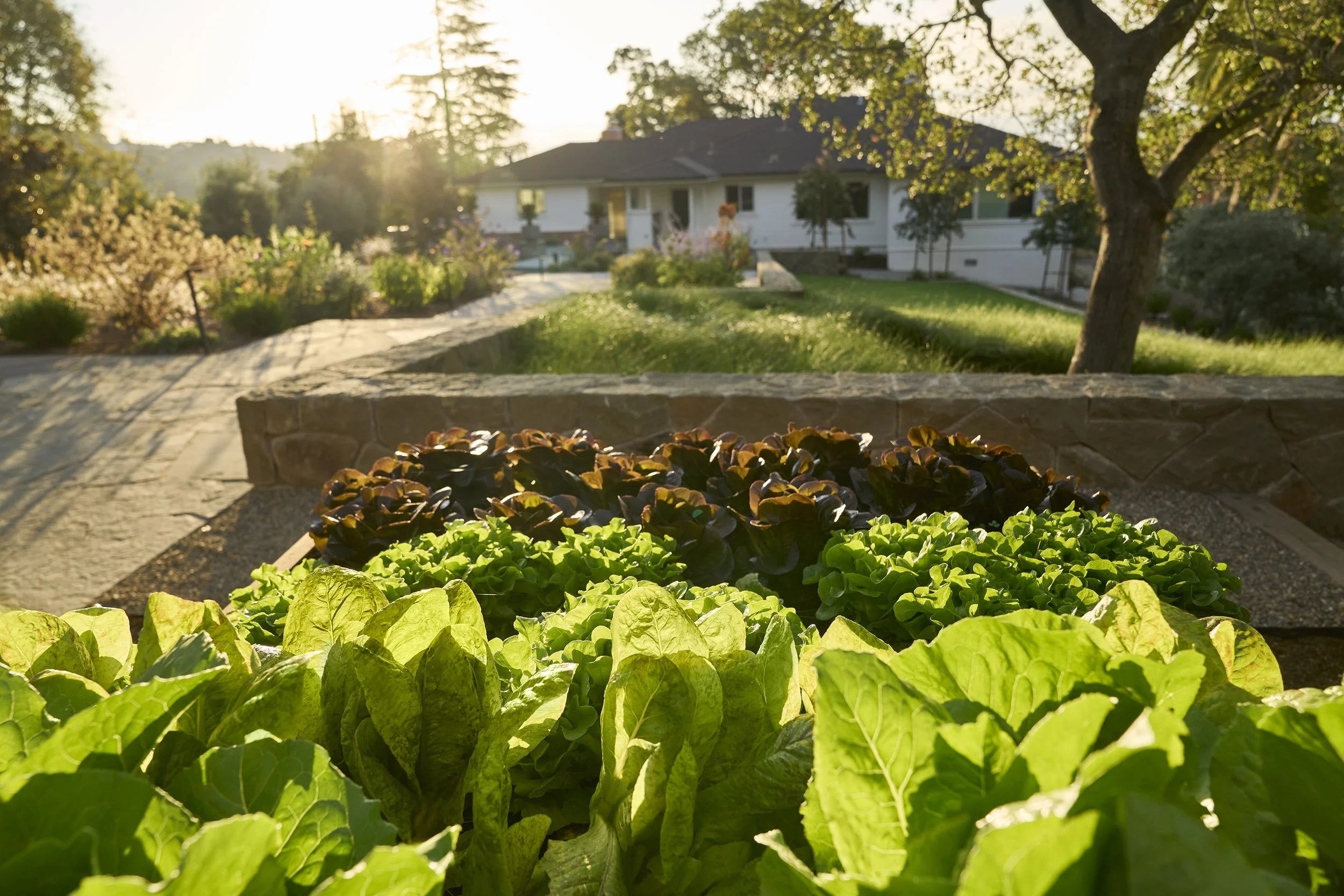 LUKSLA MARIN 005.jpg