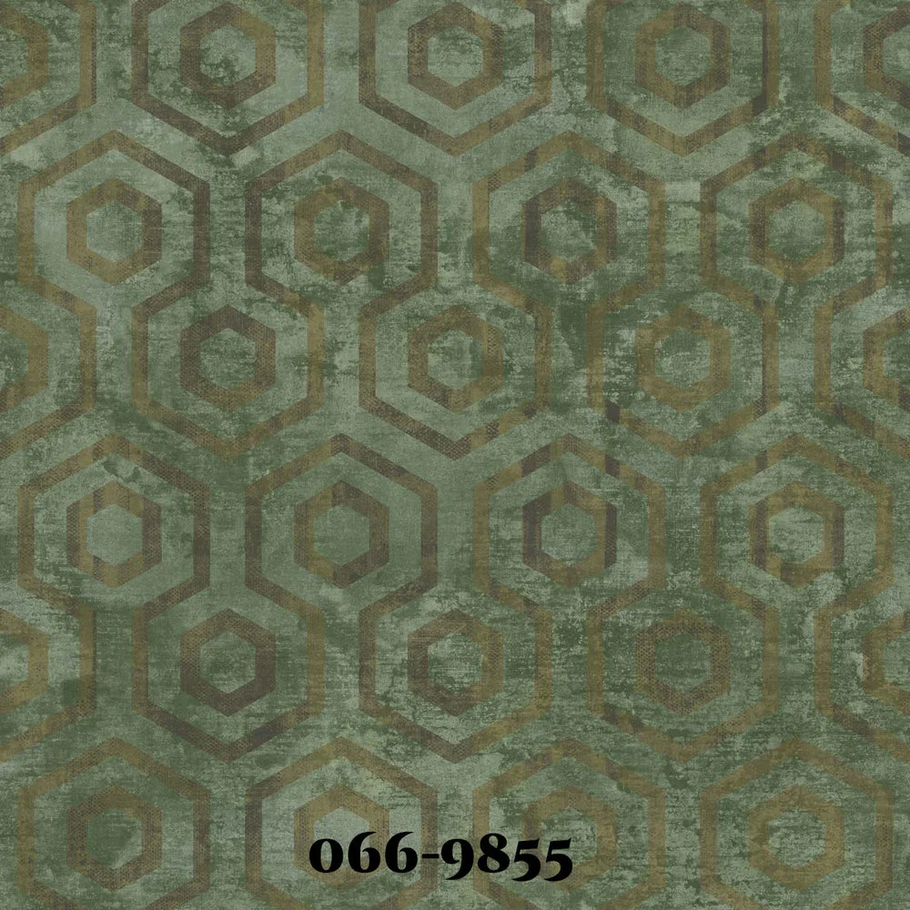 0669855.jpg