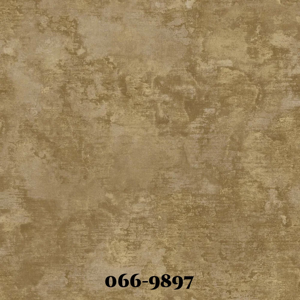0669897.jpg