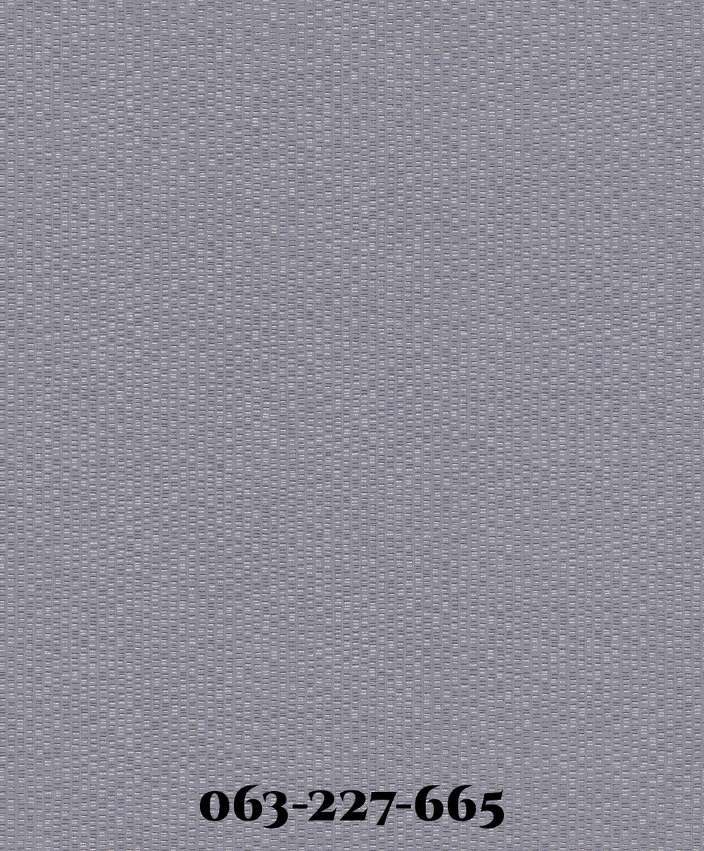 CE227-665