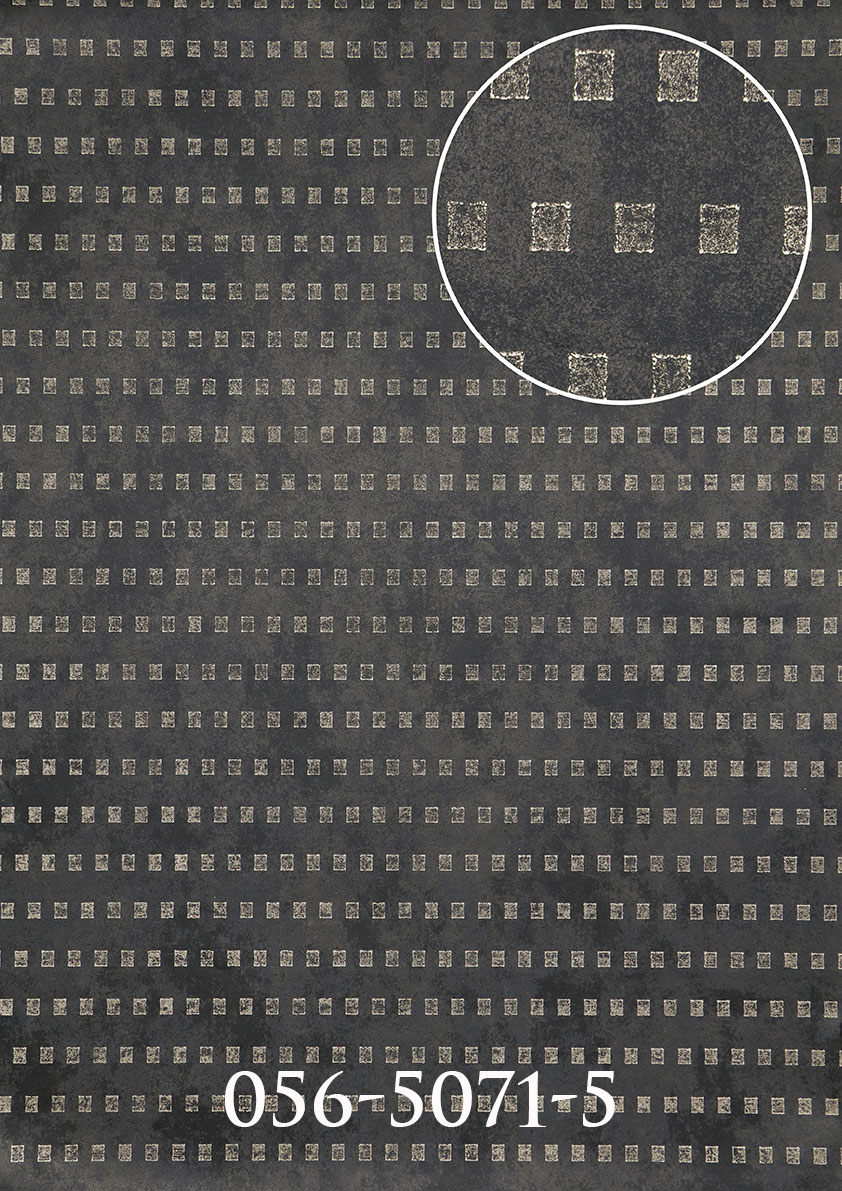 5071-5.jpg