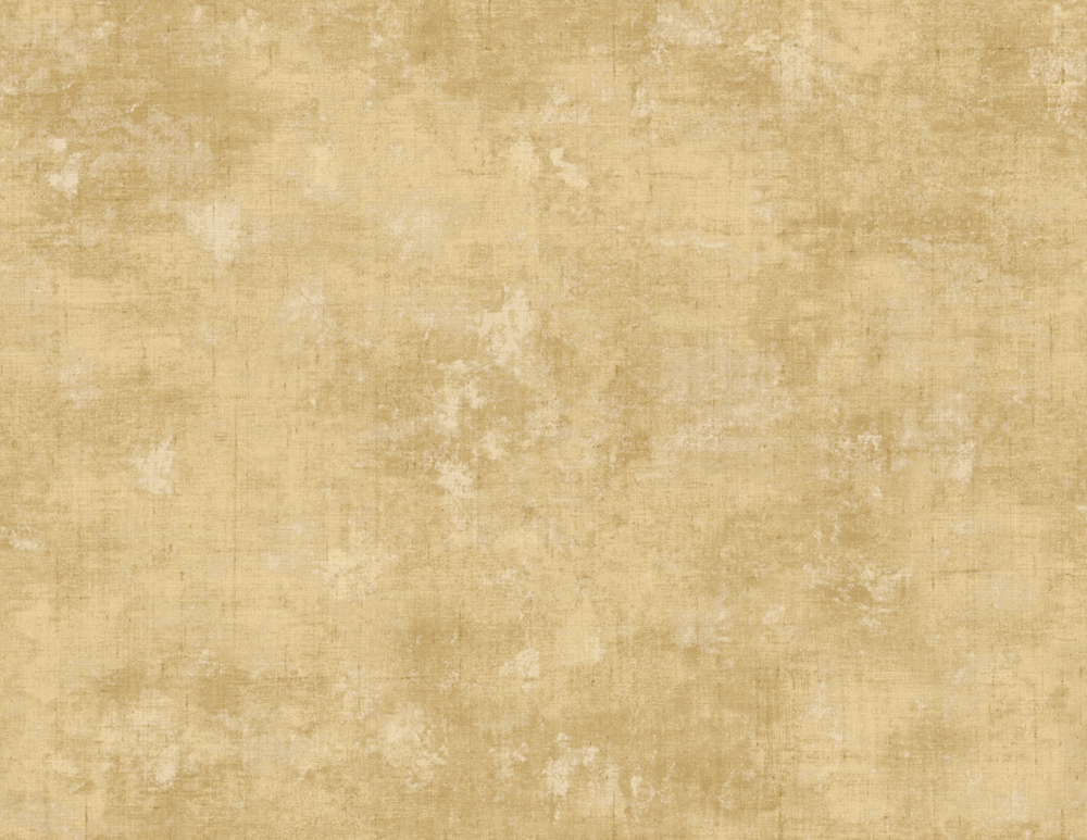 jn41605.gif