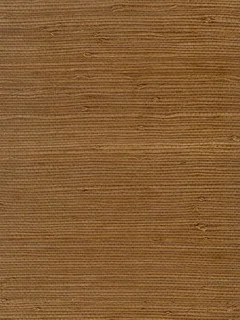 C3505.jpg