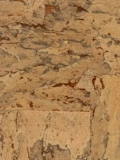 C3526.jpg