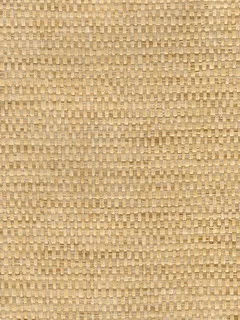C3529.jpg