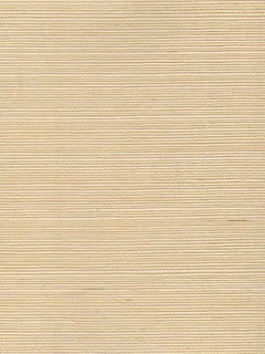 C3541.jpg
