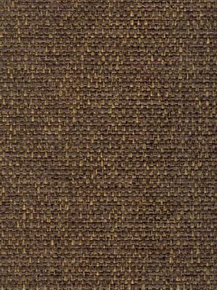 C3559.jpg