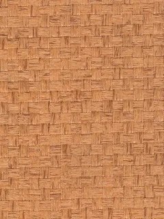 SG5604.jpg