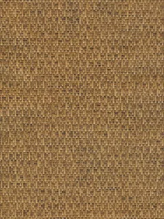 SG5606.jpg