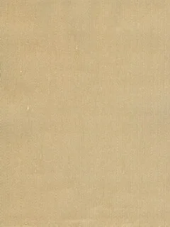 SG5609.jpg