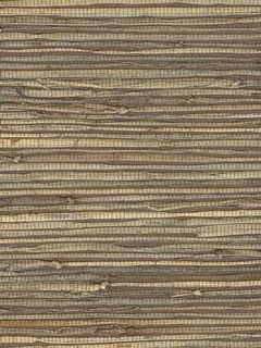 SG5610.jpg