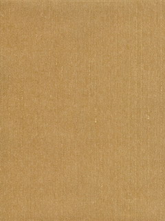 SG5615.jpg