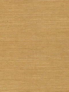 SG5616.jpg