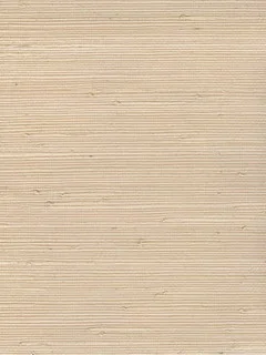 SG5641.jpg