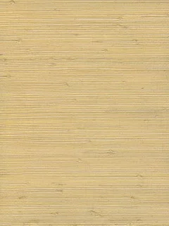SG5647.jpg