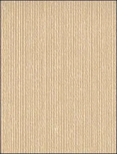 84024.jpg