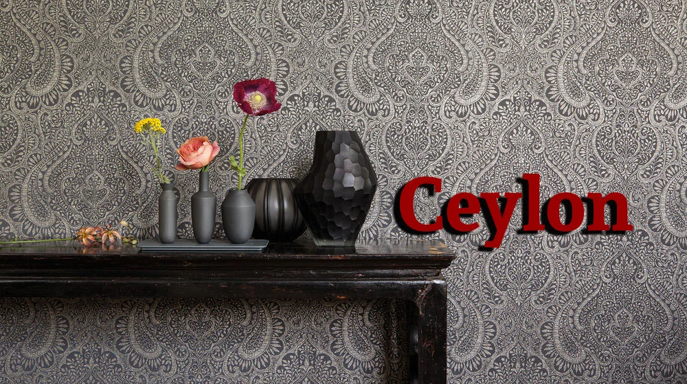 CYLBanner.jpg